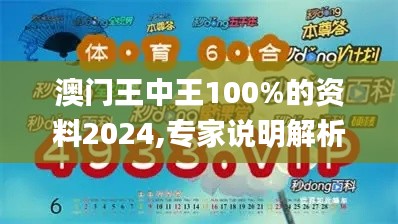 澳门王中王100%的资料2024,专家说明解析_CT1.754