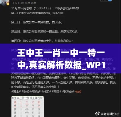 王中王一肖一中一特一中,真实解析数据_WP18.490