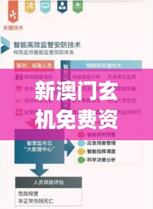 新澳门玄机免费资料,快速响应计划解析_社交版3.476