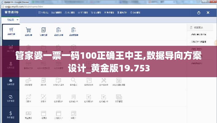 管家婆一票一码100正确王中王,数据导向方案设计_黄金版19.753