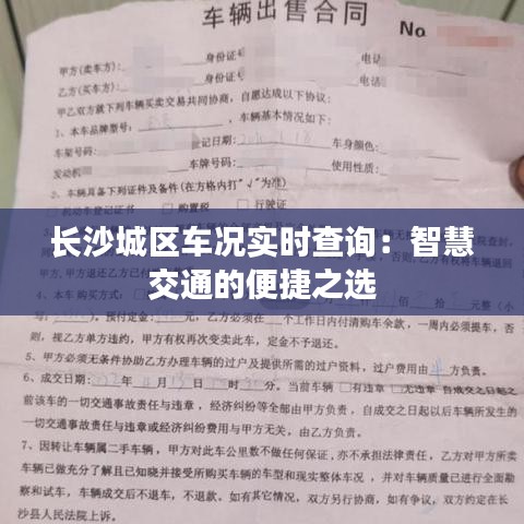 长沙城区车况实时查询：智慧交通的便捷之选