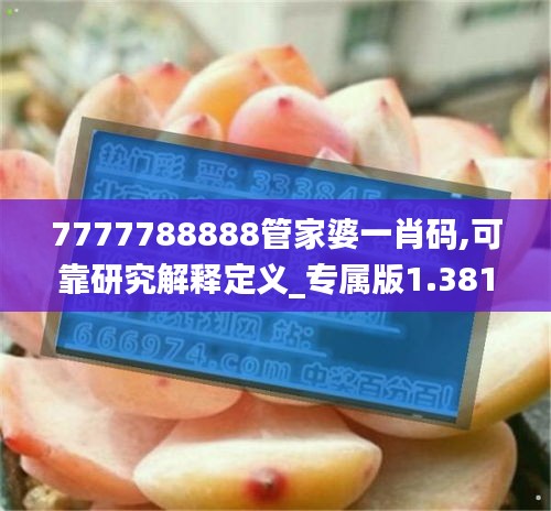 7777788888管家婆一肖码,可靠研究解释定义_专属版1.381