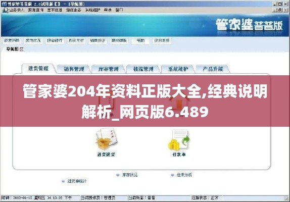 管家婆204年资料正版大全,经典说明解析_网页版6.489