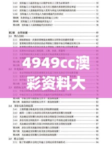 4949cc澳彩资料大全正版,专家解答解释定义_D版1.843