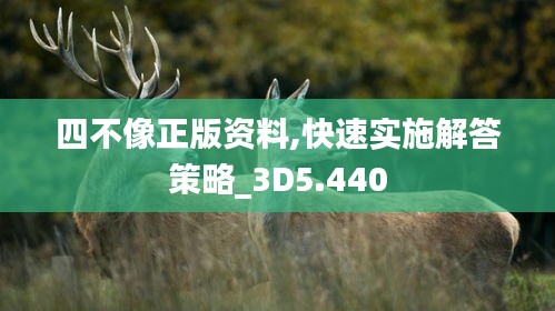 四不像正版资料,快速实施解答策略_3D5.440