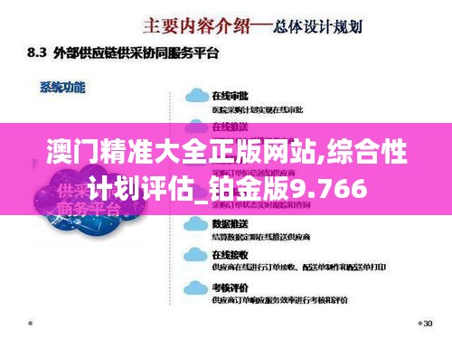 澳门精准大全正版网站,综合性计划评估_铂金版9.766