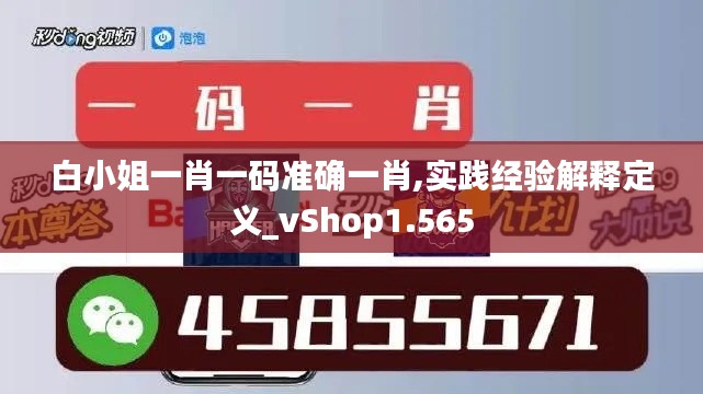 白小姐一肖一码准确一肖,实践经验解释定义_vShop1.565