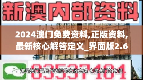 2024澳门免费资料,正版资料,最新核心解答定义_界面版2.678