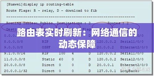 路由表实时刷新：网络通信的动态保障