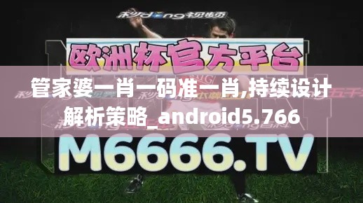 管家婆一肖一码准一肖,持续设计解析策略_android5.766