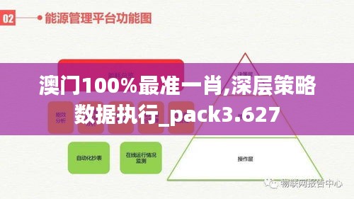 澳门100%最准一肖,深层策略数据执行_pack3.627