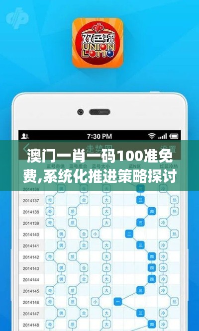 澳门一肖一码100准免费,系统化推进策略探讨_VR9.937