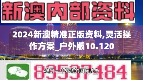 2024新澳精准正版资料,灵活操作方案_户外版10.120