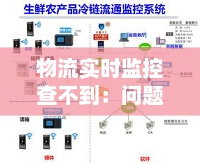 物流实时监控查不到：问题解析与解决方案