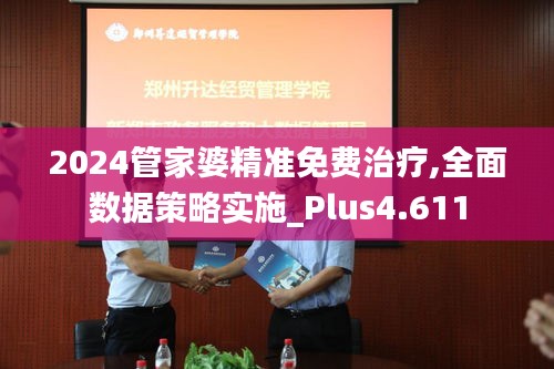 2024管家婆精准免费治疗,全面数据策略实施_Plus4.611