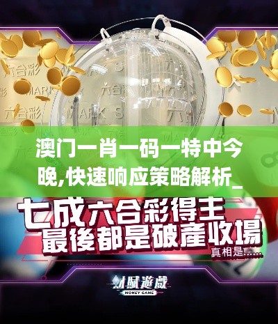 澳门一肖一码一特中今晚,快速响应策略解析_10DM18.459