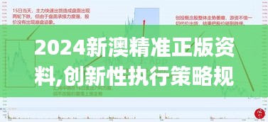 2024新澳精准正版资料,创新性执行策略规划_PalmOS4.417