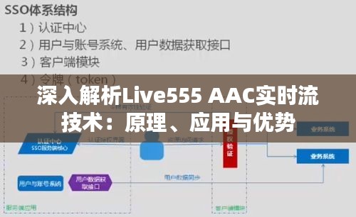 深入解析Live555 AAC实时流技术：原理、应用与优势