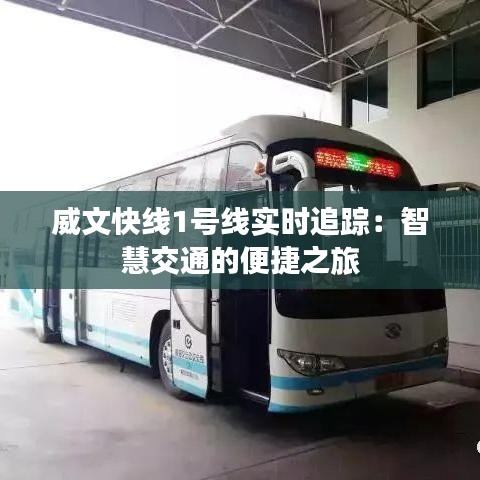 威文快线1号线实时追踪：智慧交通的便捷之旅