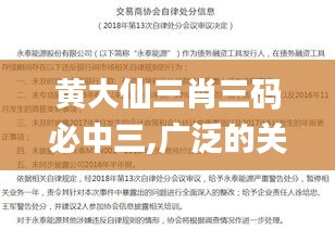 黄大仙三肖三码必中三,广泛的关注解释落实热议_钻石版110.438