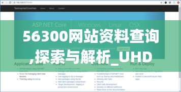 56300网站资料查询,探索与解析_UHD版10.631