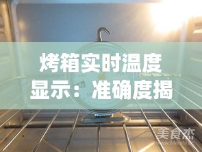 烤箱实时温度显示：准确度揭秘与使用建议