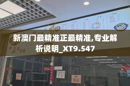 新澳门最精准正最精准,专业解析说明_XT9.547