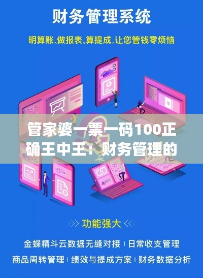 管家婆一票一码100正确王中王：财务管理的革新者