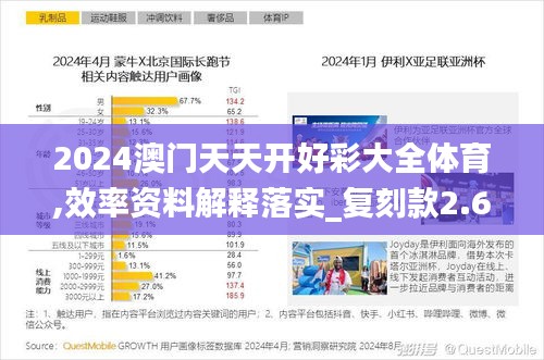 2024澳门天天开好彩大全体育,效率资料解释落实_复刻款2.639