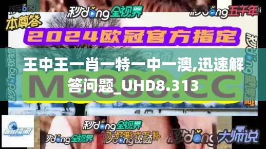 王中王一肖一特一中一澳,迅速解答问题_UHD8.313