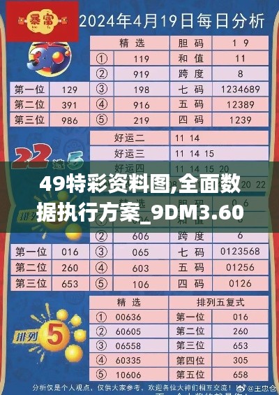 49特彩资料图,全面数据执行方案_9DM3.606