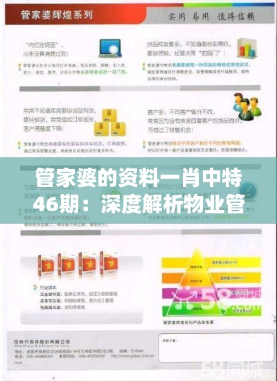 管家婆的资料一肖中特46期：深度解析物业管理的黄金法则