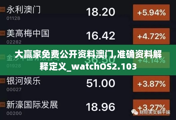 大赢家免费公开资料澳门,准确资料解释定义_watchOS2.103