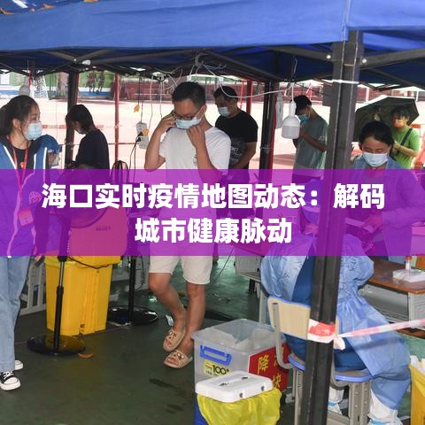 海口实时疫情地图动态：解码城市健康脉动