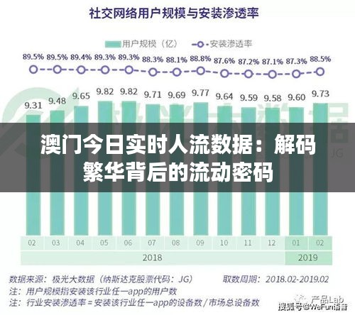 澳门今日实时人流数据：解码繁华背后的流动密码