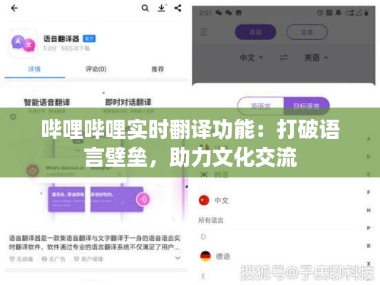 哔哩哔哩实时翻译功能：打破语言壁垒，助力文化交流