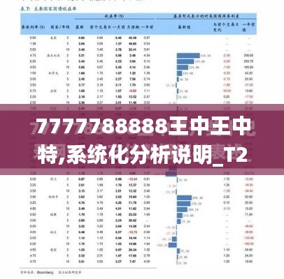 7777788888王中王中特,系统化分析说明_T2.609