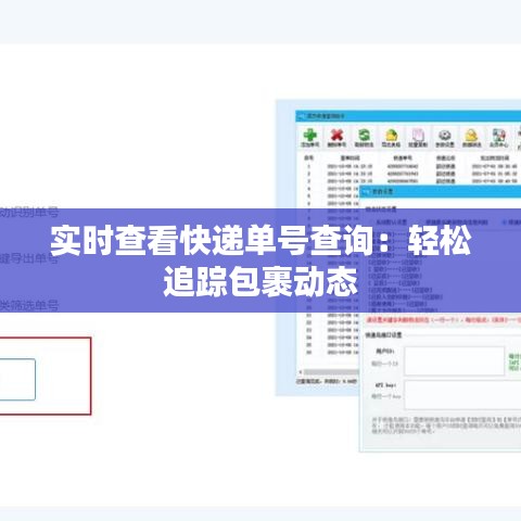 实时查看快递单号查询：轻松追踪包裹动态