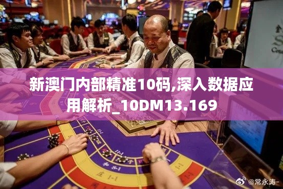 新澳门内部精准10码,深入数据应用解析_10DM13.169