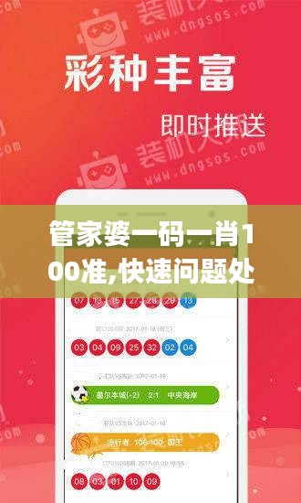 管家婆一码一肖100准,快速问题处理策略_探索版4.538