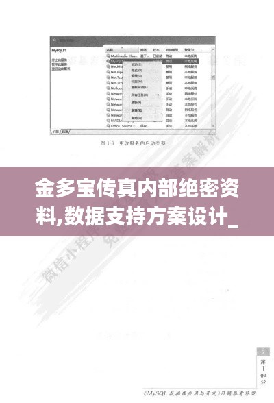 金多宝传真内部绝密资料,数据支持方案设计_XT9.239