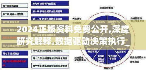 2024正版资料免费公开,深度研究解释,数据驱动决策执行_限量款3.454