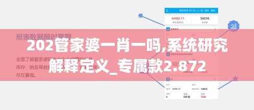 202管家婆一肖一吗,系统研究解释定义_专属款2.872