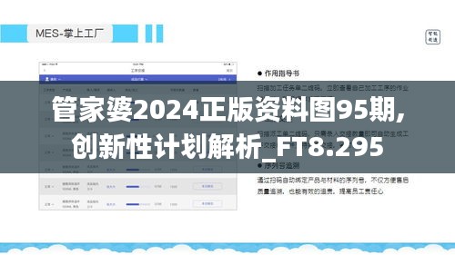 管家婆2024正版资料图95期,创新性计划解析_FT8.295