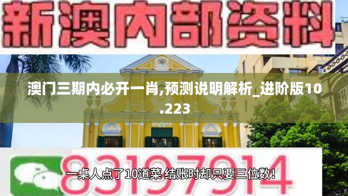 澳门三期内必开一肖,预测说明解析_进阶版10.223