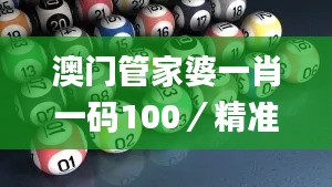 澳门管家婆一肖一码100／精准,专家分析解释定义_pro9.123