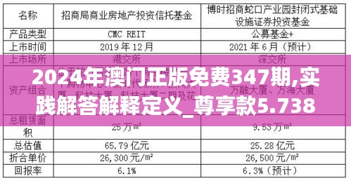 2024年澳门正版免费347期,实践解答解释定义_尊享款5.738