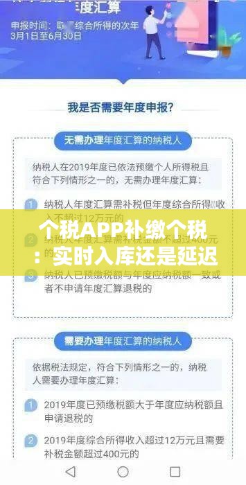 个税APP补缴个税：实时入库还是延迟处理？