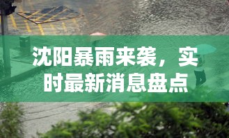 沈阳暴雨来袭，实时最新消息盘点