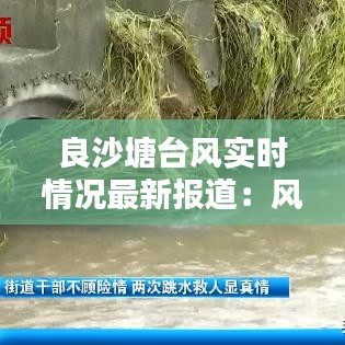 良沙塘台风实时情况最新报道：风雨中的坚守与应对